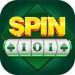 Spin 101